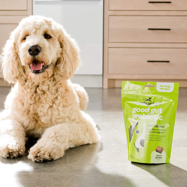 Ready Pet Go! Good Gut Probiotic Supplement for Dogs Dog with Package