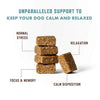 Rocco & Roxie Calming Health Supplement Soft Chews for Dogs Unparalleled Support