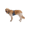RuffWear Load Up Car Safety Dog Harness Slate Blue on a Large Dog