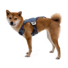 RuffWear Load Up Car Safety Dog Harness Slate Blue on a Small Dog