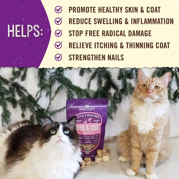 Stella & Chewy's Stella's Solutions Skin & Coat Support Freeze Dried Cat Food Benefits
