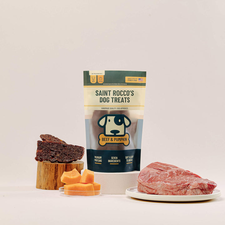 Saint Rocco's Jerky Treats for Dogs | Only Natural Pet