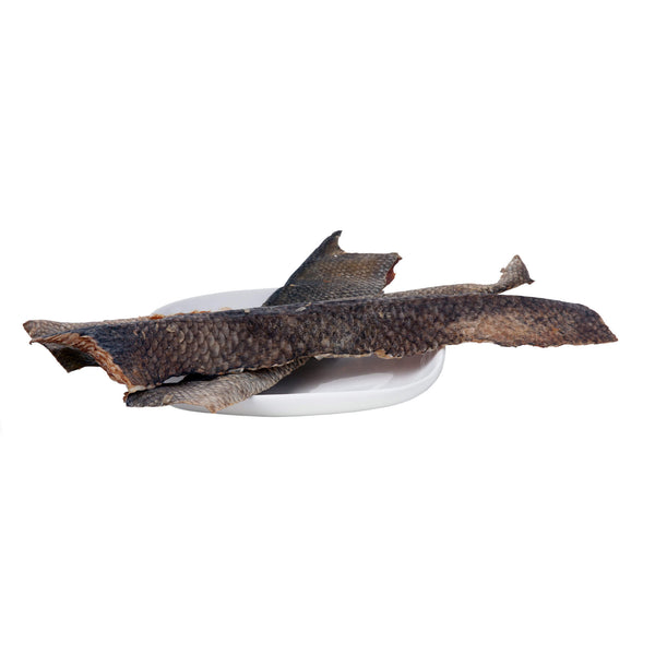 Scout & Zoe's Carpius Maximus Carp Planks Dehydrated Fish Skins for Dogs & Cats on a Plate