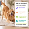 Sniffworthy Your Dog Is Bored Card Pack 4 Categories