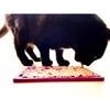 SodaPup eMat Lick Mat for Cats Fishy Design with Black Cat