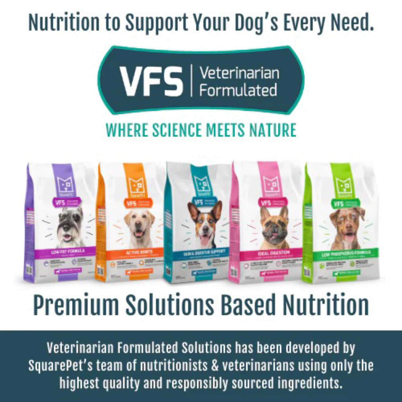 Square Dogs Square Pet VFS Low Fat Formula Dry Dog Food | Only Natural Pet