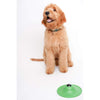 Stashios Soothing Saucer Liquid Treat Dispensing Toy for Dogs & Cats with Waiting Pup