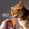 Tiki Cat Solutions Supplement Digestive Support Sachets for Cats Benefits in Every Lick