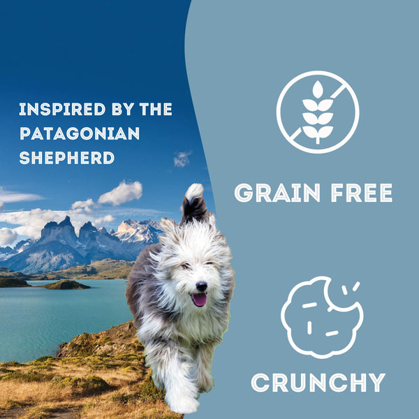 Pet Treatery Indomitable Patagonia Grain-Free Puppy Biscuit