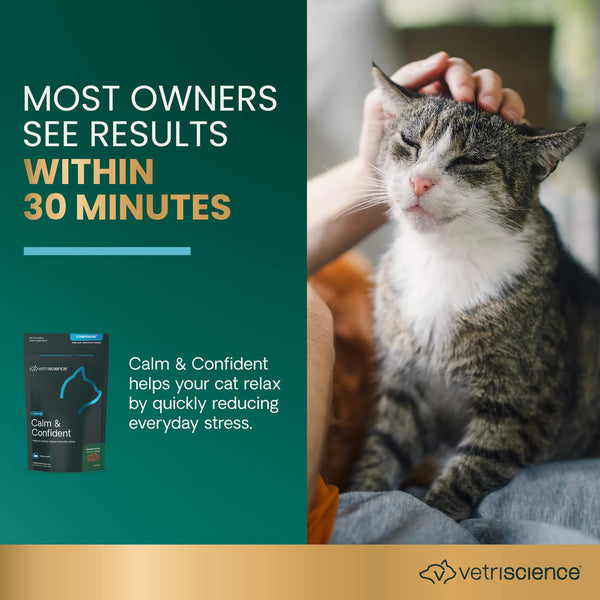 VetriScience Calm & Confident Soft Chews for Cats Infographic