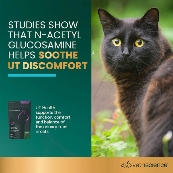 VetriScience UT Health Soft Chews for Cats Infographic