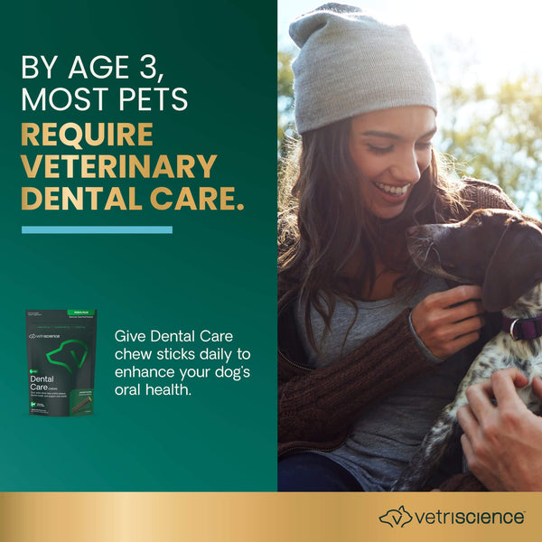 VetriScience Dental Care Chews for Dogs Infographic