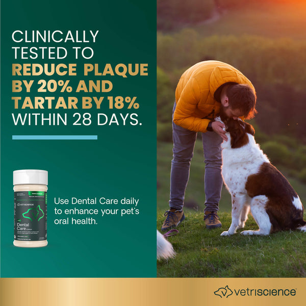 VetriScience Dental Care Powder for Dogs & Cats Infographic