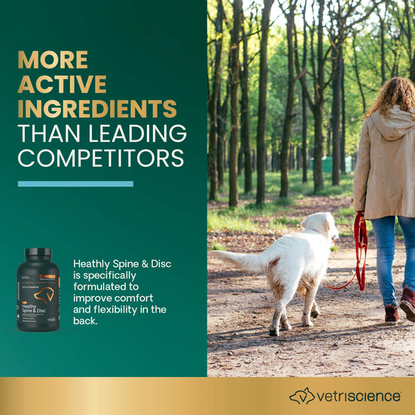 VetriScience Healthy Spine & Disc Capsules for Dogs Infographic