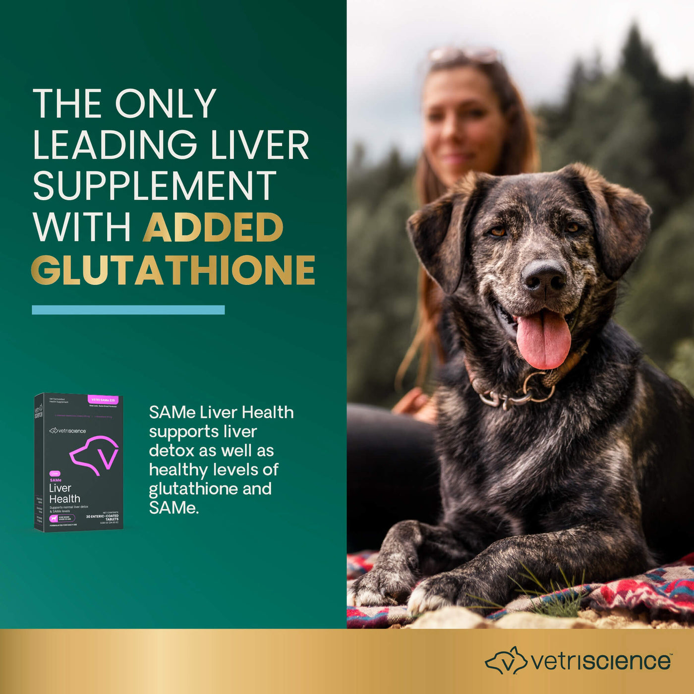 same and glutathione VetriScience SAMe Liver Health for Dogs & Cats same and glutathione VetriScience SAMe Liver Health for Dogs & Cats