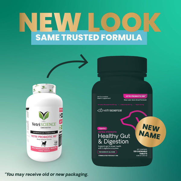 VetriScience Extra Strength Healthy Gut & Digestion for Dogs Transitional
