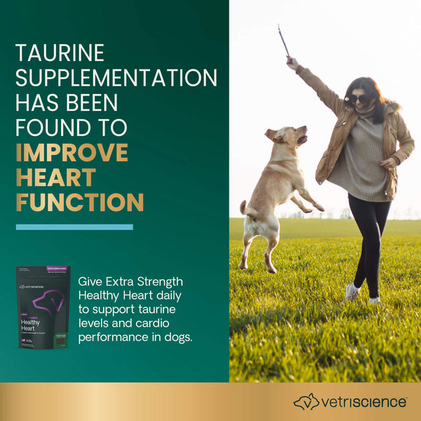 VetriScience Extra Strength Healthy Heart Bite-Sized Chews Infographic