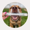 Wag & Bright Puppy Polisher Eco Toothbrush for Dogs