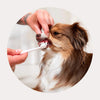 Wag & Bright Puppy Polisher Eco Toothbrush for Dogs