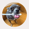 Wag & Bright Puppy Polisher Eco Toothbrush for Dogs