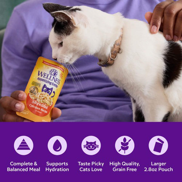Wellness Appetizing Entrees Grain Free Mousse Cat Food Pouches Whipped Wonders Variety Pack Benefits