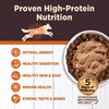 Wellness CORE Grain Free Digestive Health Pate Wet Dog Food High-Protein Nutrition