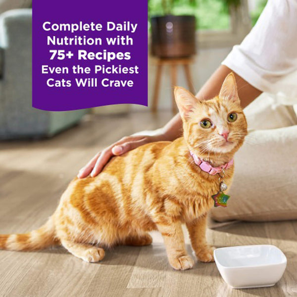 Wellness Complete Health Grilled Cuts in Sauce Wet Cat Food Variety Pack Complete Daily Nutrition