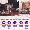 Wellness Shreds Grain Free Shredded Wet Cat Food Benefits