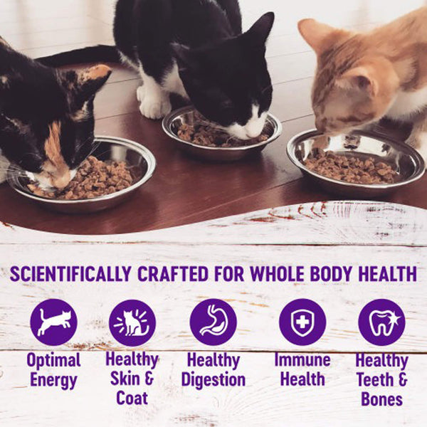 Wellness Shreds Grain Free Shredded Wet Cat Food Benefits