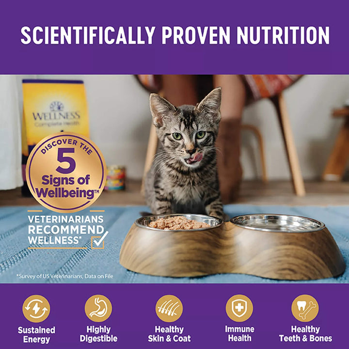 Wellness Complete Health Natural Grain Free Beef and Chicken Pate Wet Canned Cat Food 3oz, case of 24