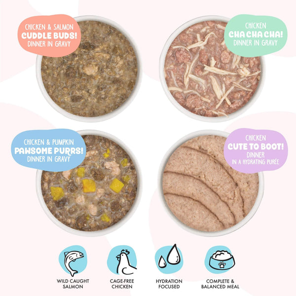 Weruva B.F.F. Kitten! Grain Free Wet Food for Kittens Flavors