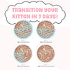 Weruva B.F.F. Kitten! Grain Free Wet Food for Kittens Transition