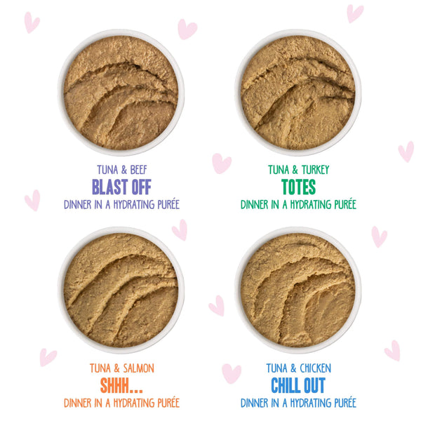 Weruva B.F.F. Play Pate! Grain Free Pate Wet Cat Food Pouches Flavors