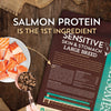 Wholesomes Sensitive Skin & Stomach Large Breed Dry Dog Food Salmon