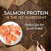 Wholesomes Sensitive Skin & Stomach Small Breed Dry Dog Food Salmon