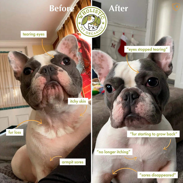 Wholistic Pet Organics Pure Colostrum Immune Supplement for Dogs & Cats