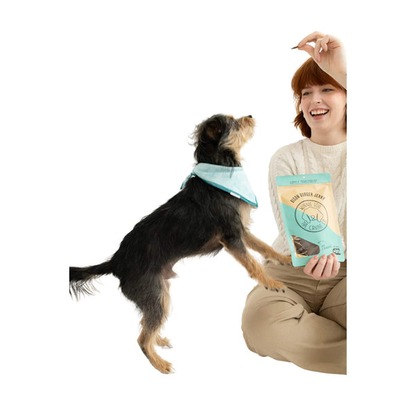 Bison Burger Jerky 2.5 oz