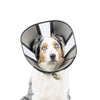 ZenPet ZenCone Soft Recovery Collar for Dogs & Cats
