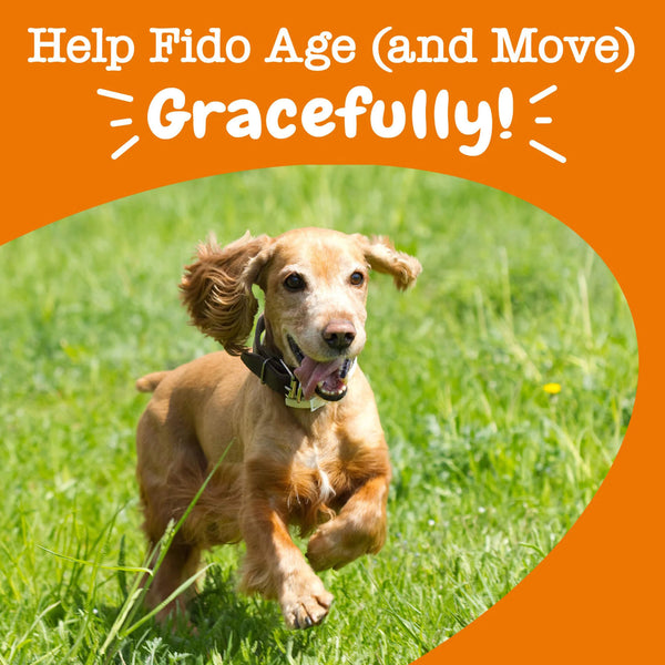 Zesty Paw Senior Advanced Hip & Joint Bites for Dogs Graceful Pup