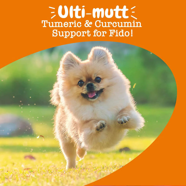 Zesty Paw Turmeric Curcumin Bites for Dogs Ulti-Mutt Support
