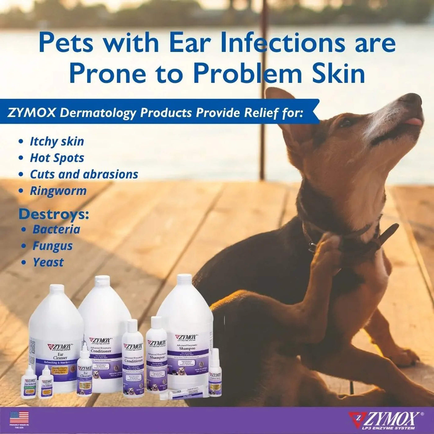 Zymox Enzymatic Dry/Itchy Skin Shampoo for Dog Cat | Only Natural Pet