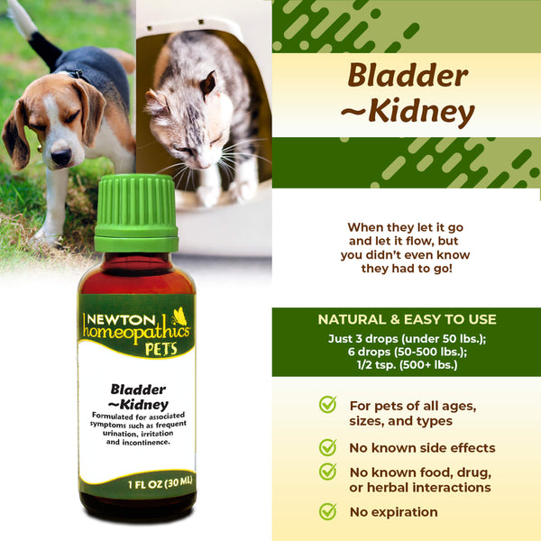 Newton Homeopathic Pets Bladder Kidney Infographic