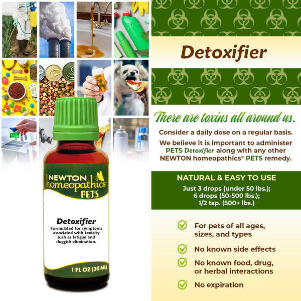 Newton Homeopathic Pets Detoxifier Infographic