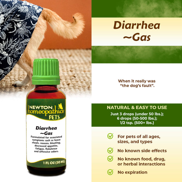 Newton Homeopathic Pets Diarrhea Gas Infographic