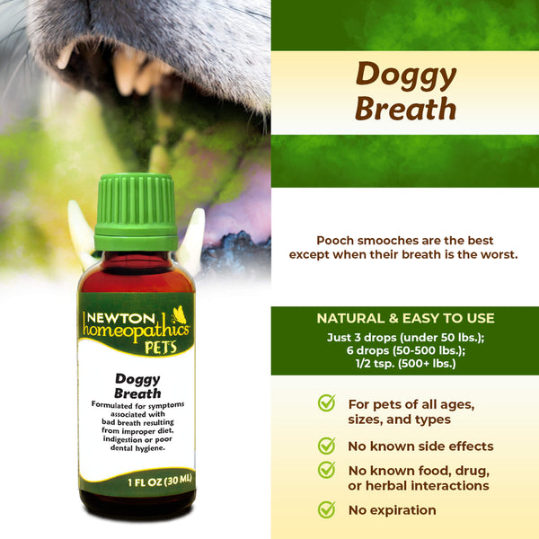 Newton Homeopathic Pets Doggy Breath Infographic