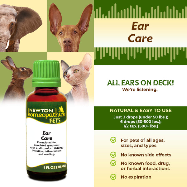 Newton Homeopathic Pets Ear Care Infographic