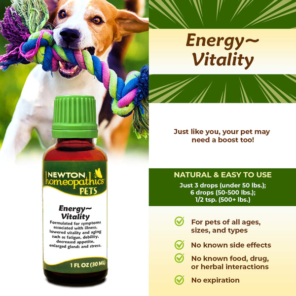 Newton Homeopathic Pets Energy Vitality Infographic