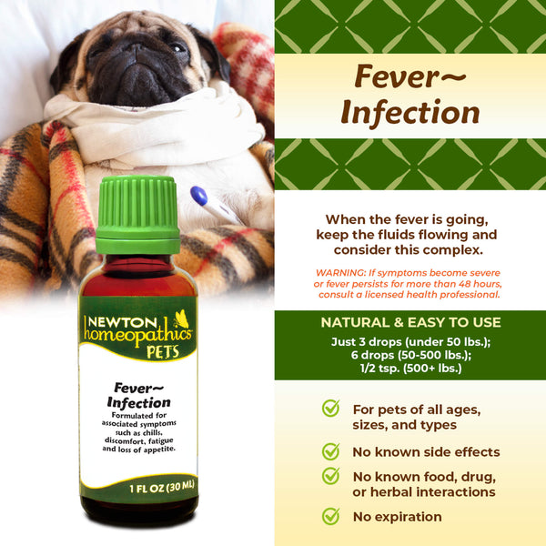 Newton Homeopathic Pets Fever Infection Infographic