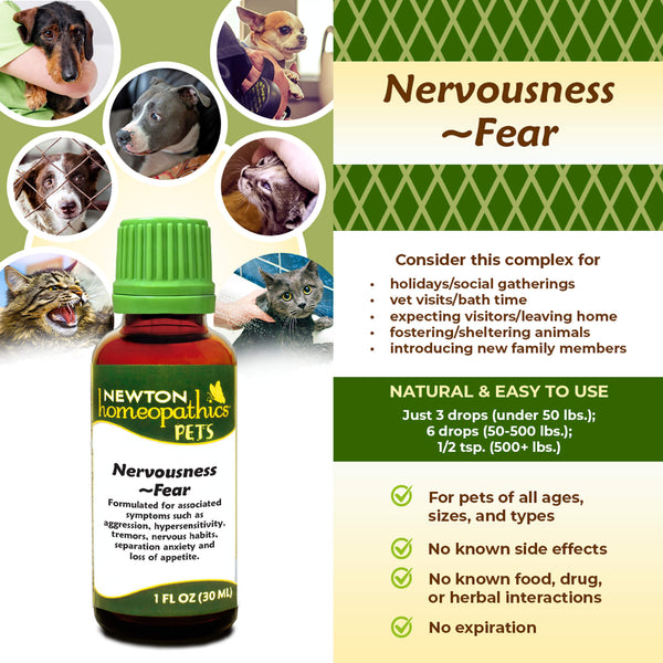 Newton Homeopathic Pets Nervousness Fear Infographic