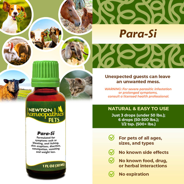 Newton Homeopathic Pets Para-Si Infographic